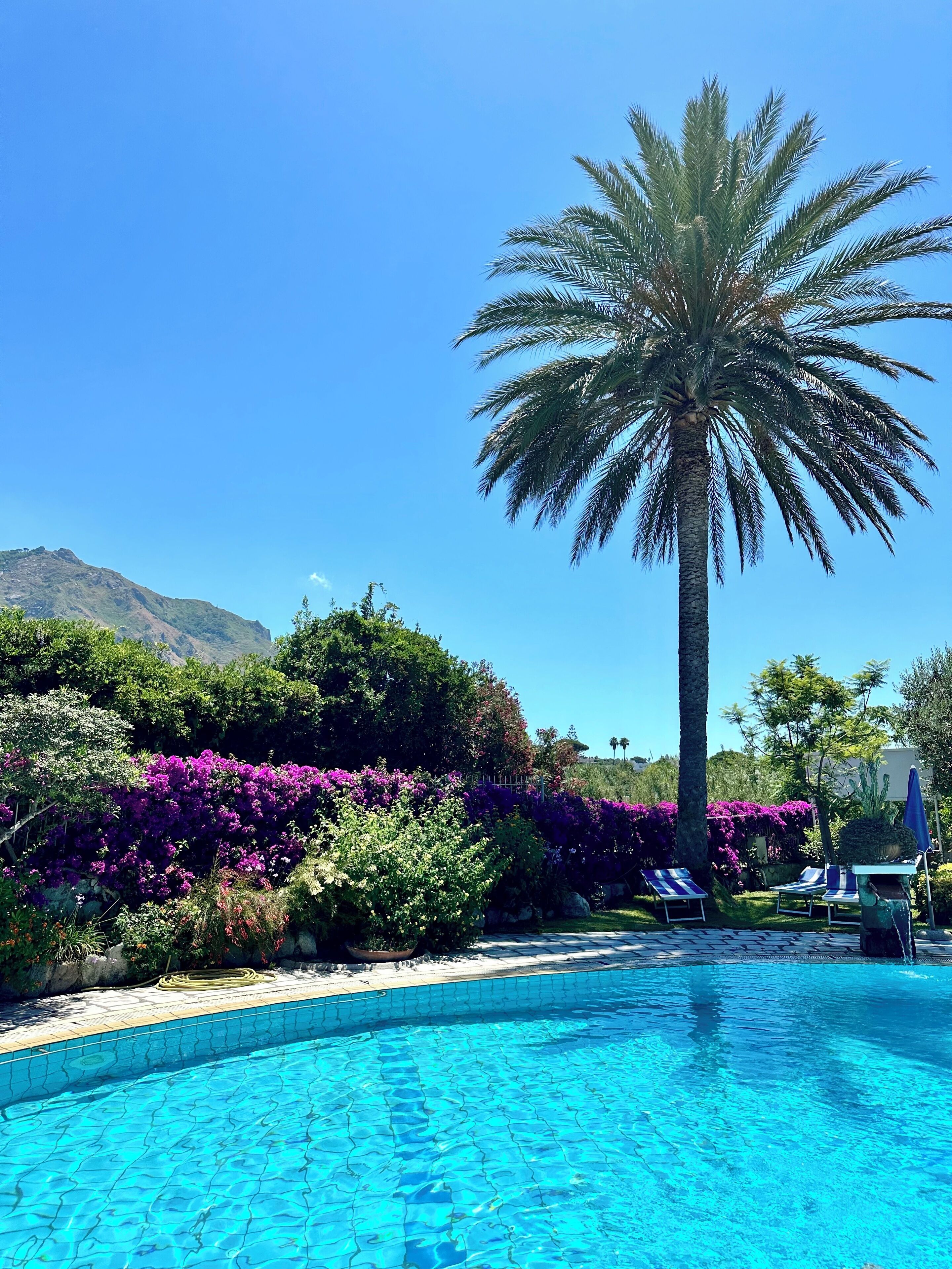 Photo - Hotel Boutique Ideal