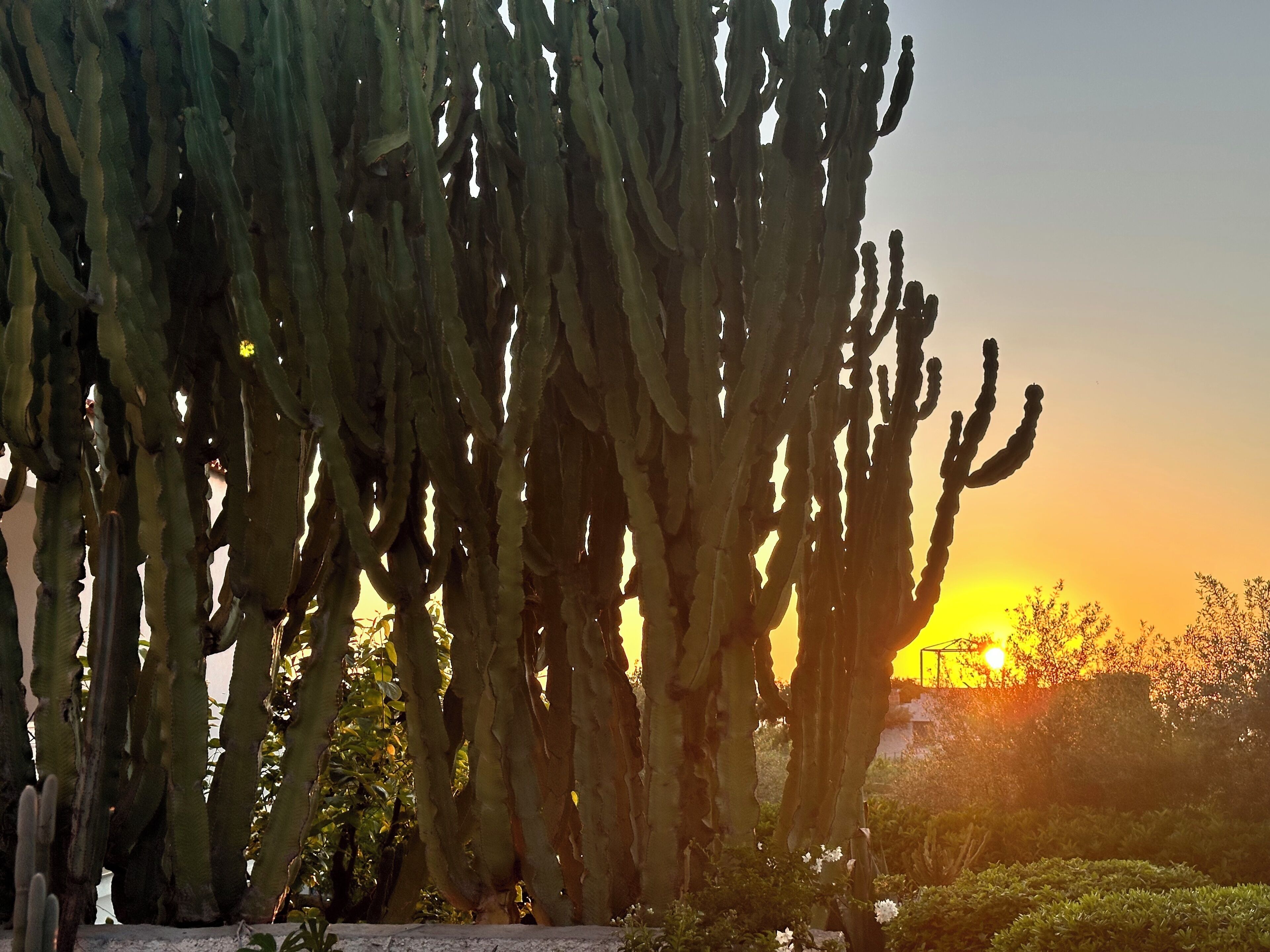 Photo - Hotel Boutique Ideal