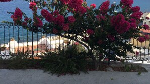 A coastal view with a prominent pink flowering bush in the foreground, a clear blue sky, and a distant sailboat on the sea. - Oltremare (Lipari)