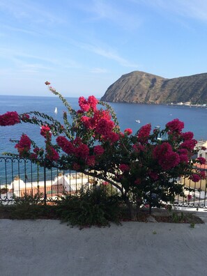 Vue depuis l’hébergement