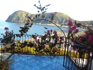 Vista desde la propiedad