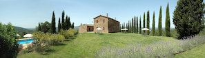 A stone house with a swimming pool, surrounded by tall cypress trees and lavender fields.