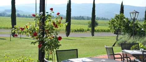 An outdoor patio with round tables and chairs, a pergola, and a view of a green field and mountains in the background.