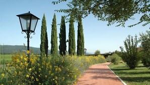 A paved pathway with yellow flowers and tall trees, a lamp post, and a clear blue sky. - Fattoria Casabianca (Murlo)