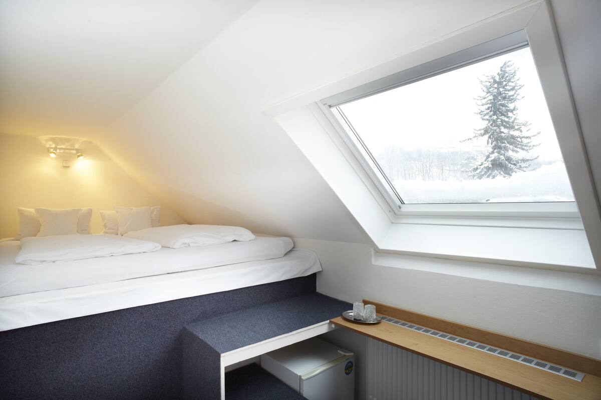 DOUBLE SMALL ATTIC ROOM | Woonkamer