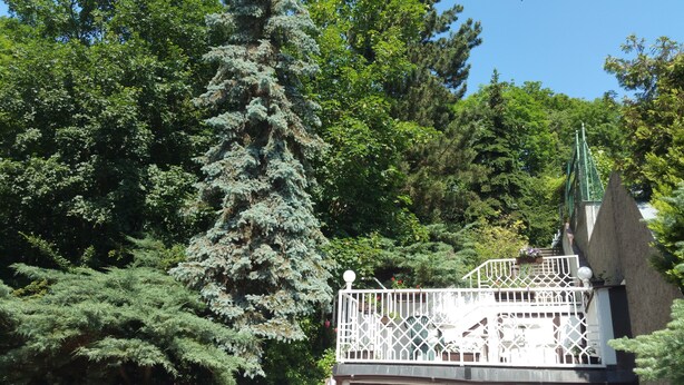 Garden - Pension Kern (Prague)