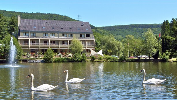 A hotel with a swimming pool, a fountain, and swans in the water. - Hôtel les Rives (Guebwiller)