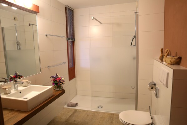 Baño con ducha, inodoro, lavamanos y espejo.
