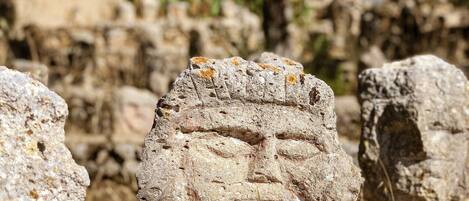 A stone structure with a carved face, surrounded by other rocks and dry vegetation.