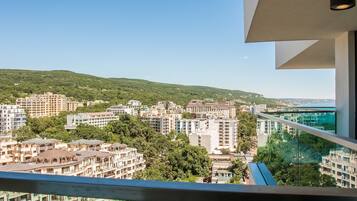 Superior Room with Resort View and Balcony - Wellness package | Balcony view