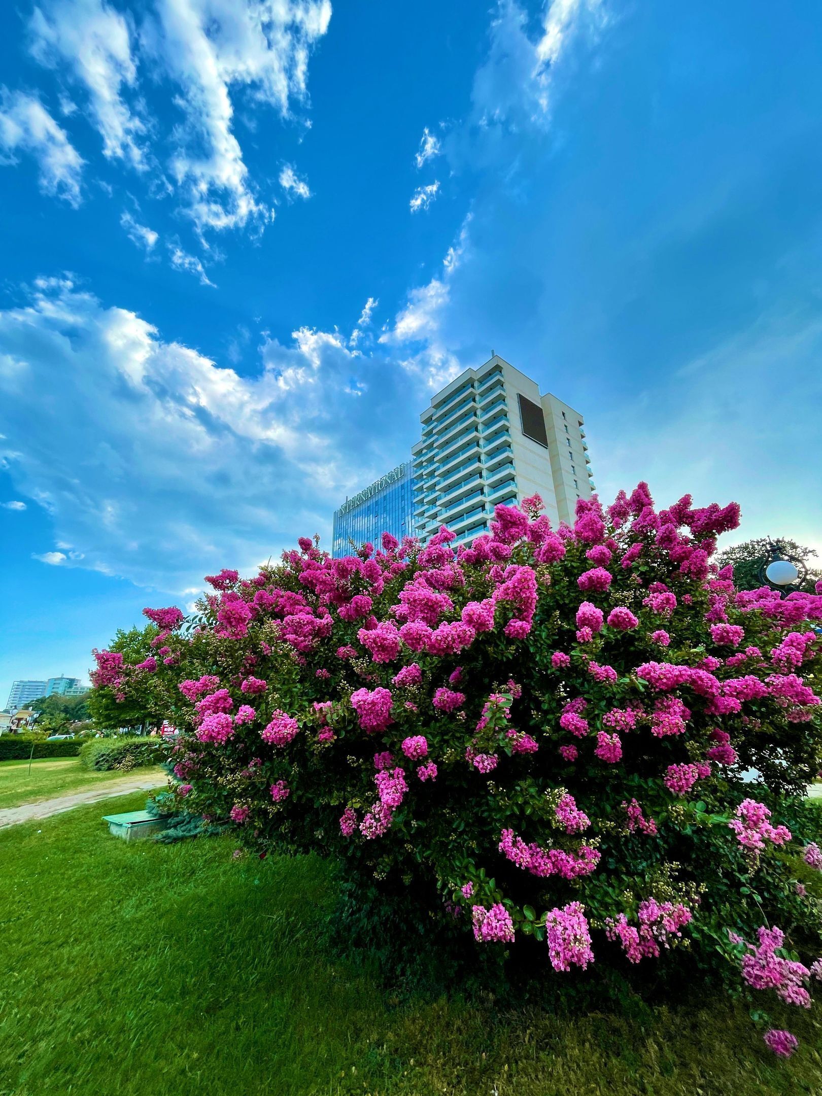 A hotel with a modern glass facade, surrounded by lush green grass and vibrant pink flowers.