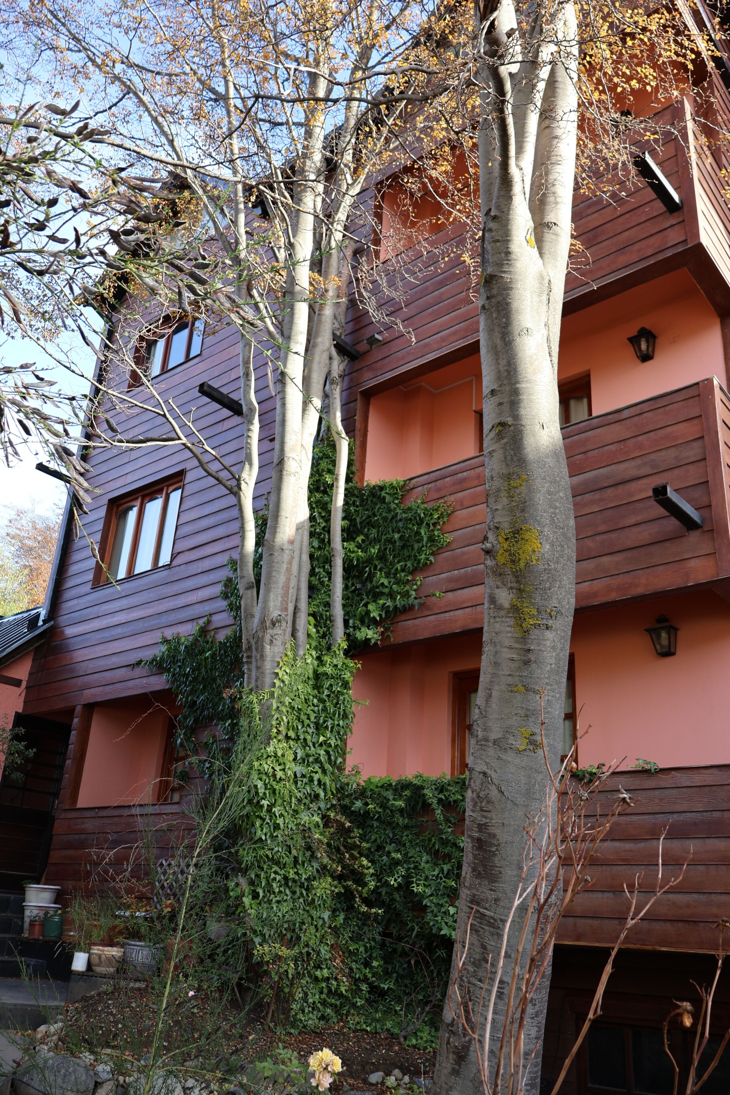 Photo - Valle Frío Ushuaia