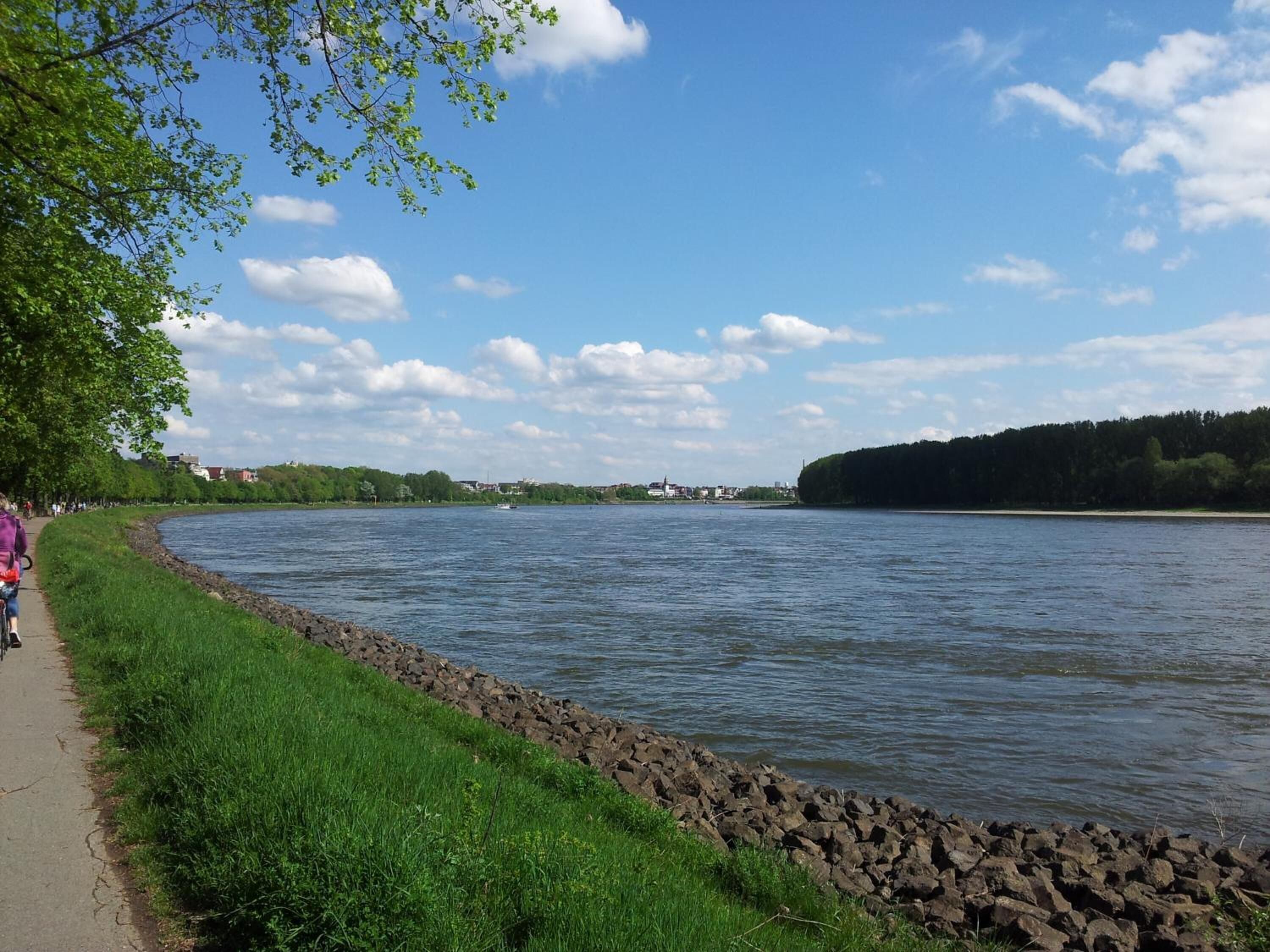 Foto - StayInCologne