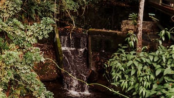 Une petite cascade entourée d’une végétation luxuriante et d’une construction en pierre rustique.