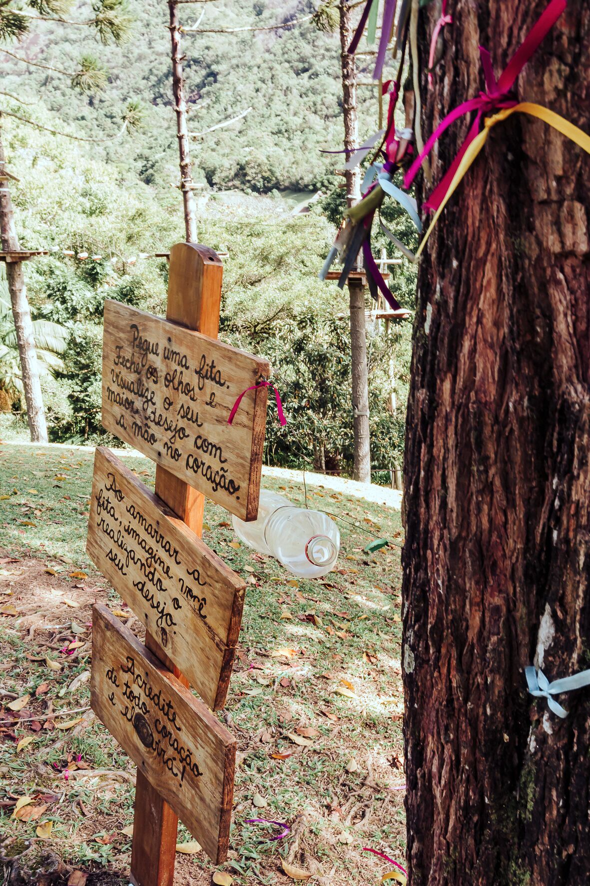 Un panneau indicateur en bois, orné de messages écrits à la main, dans un environnement naturel.