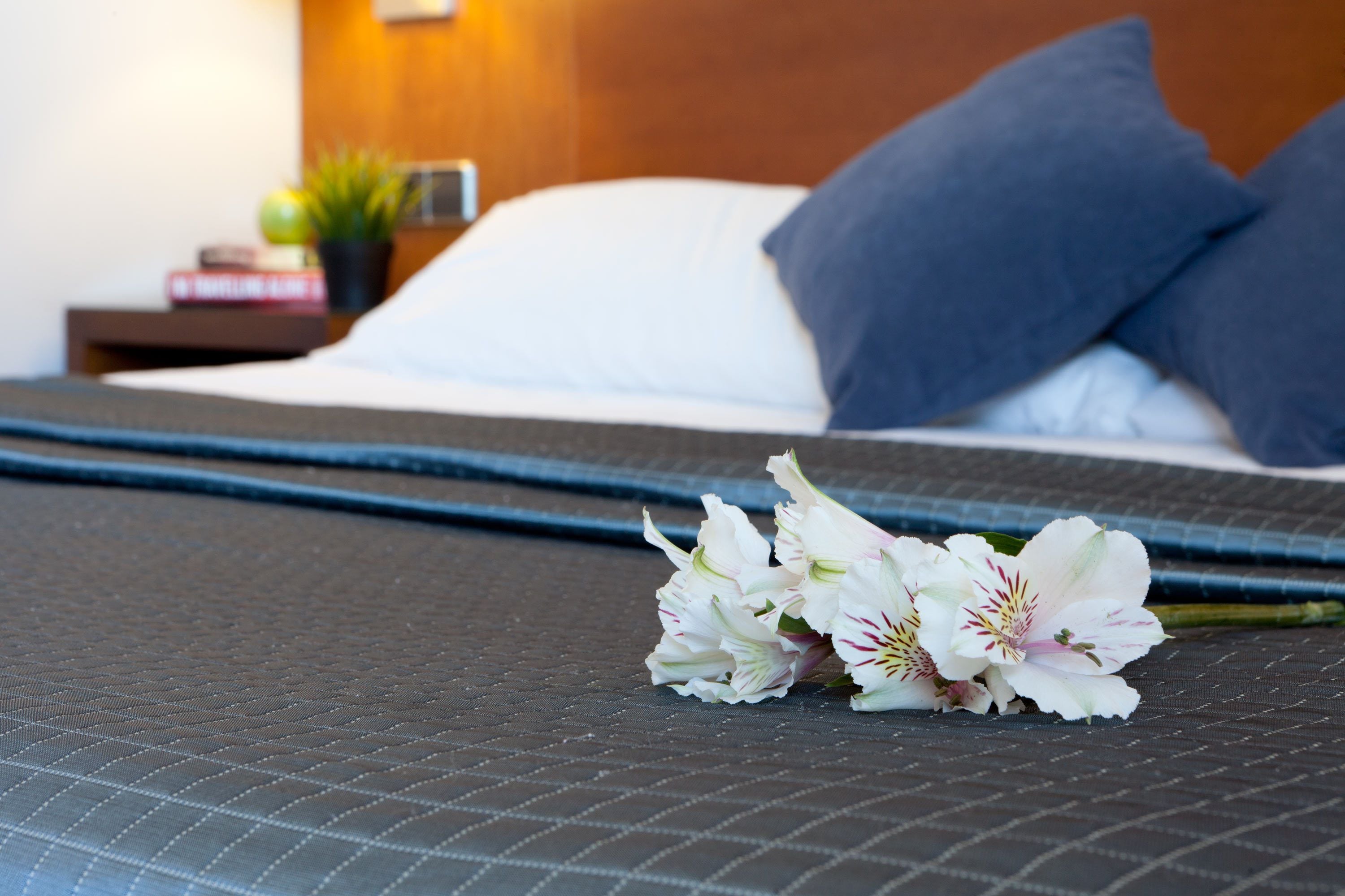 junior suite, 1 queen bed | down duvets, minibar, in-room safe, desk