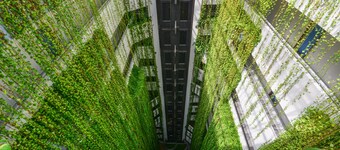 Littoral Tambaú Flat