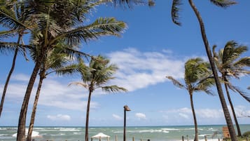 Perto da praia, bar na praia
