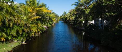A river flanked by lush greenery and a building with a white facade.