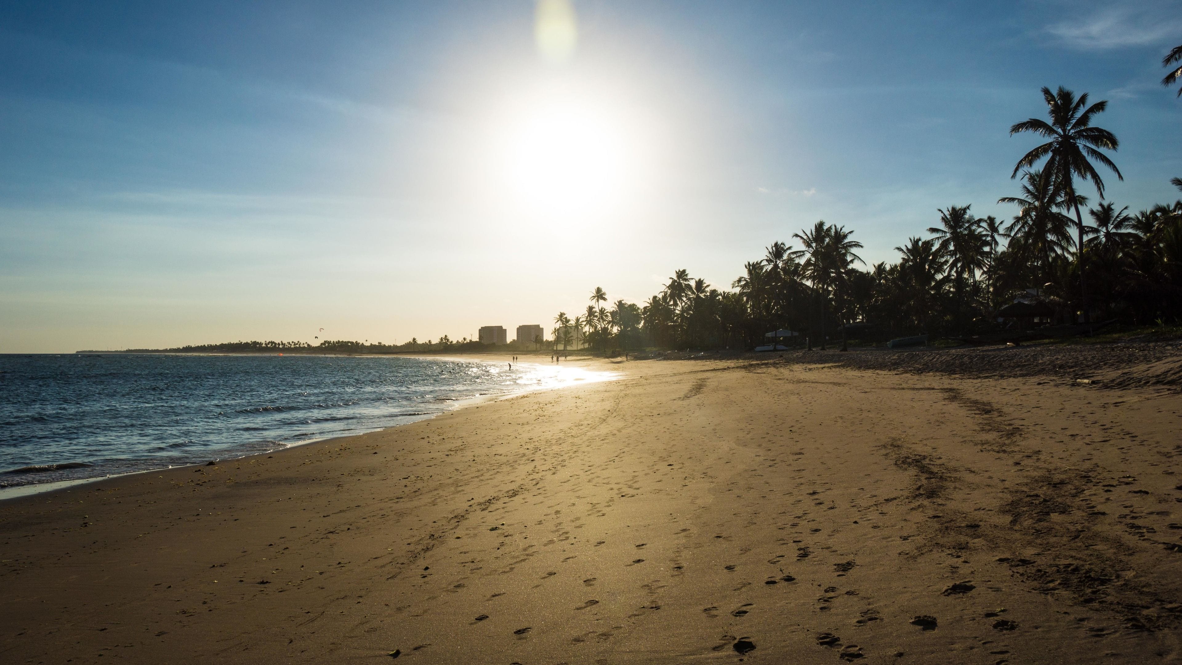 Ein Strand mit Fußabdrücken, Palmen und blauem Himmel.