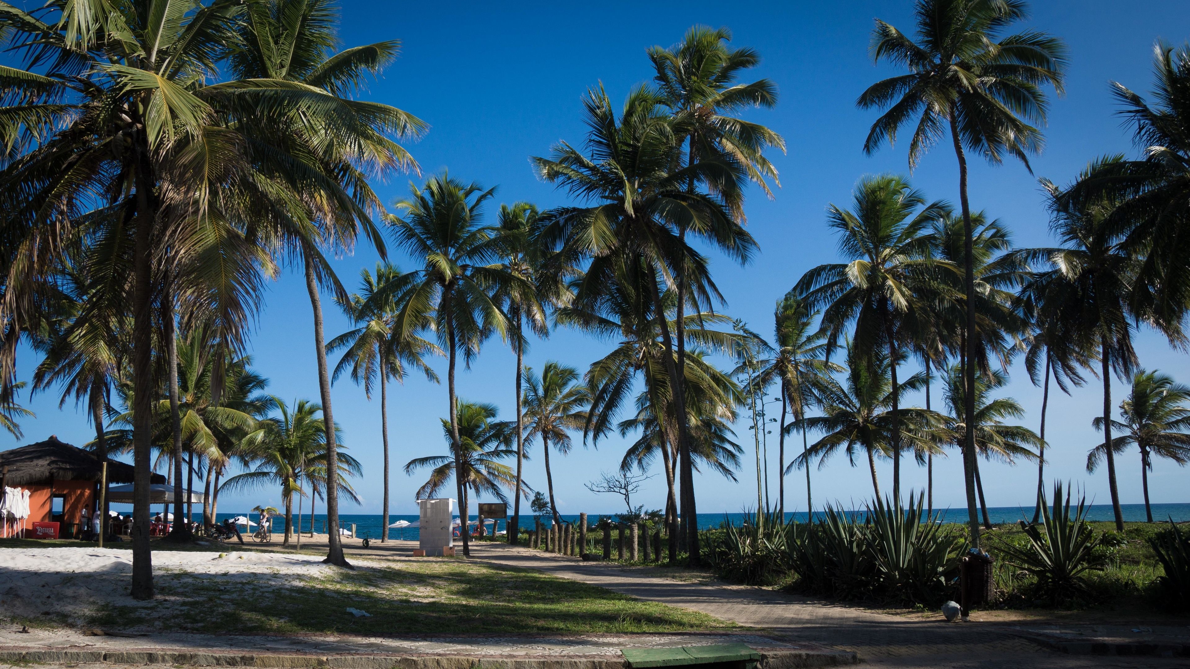 deluxe double room | beach/ocean view