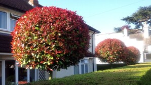 Garden - Glade End Guest House (Marlow)