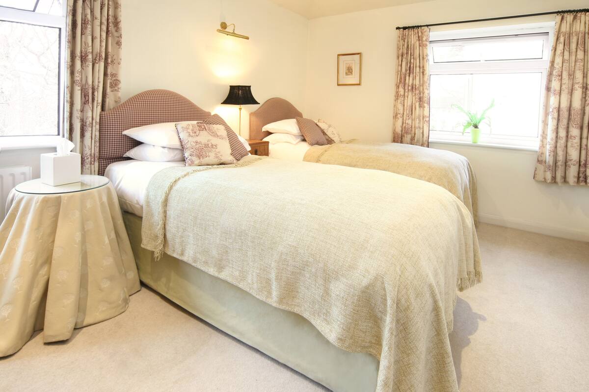Executive Twin Room | Iron/ironing board (on request), WiFi (free)