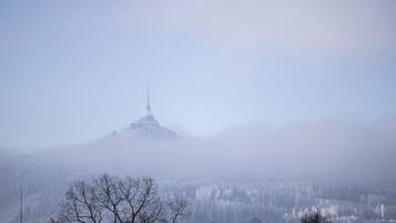 A snow-covered mountain with a tower in the distance.