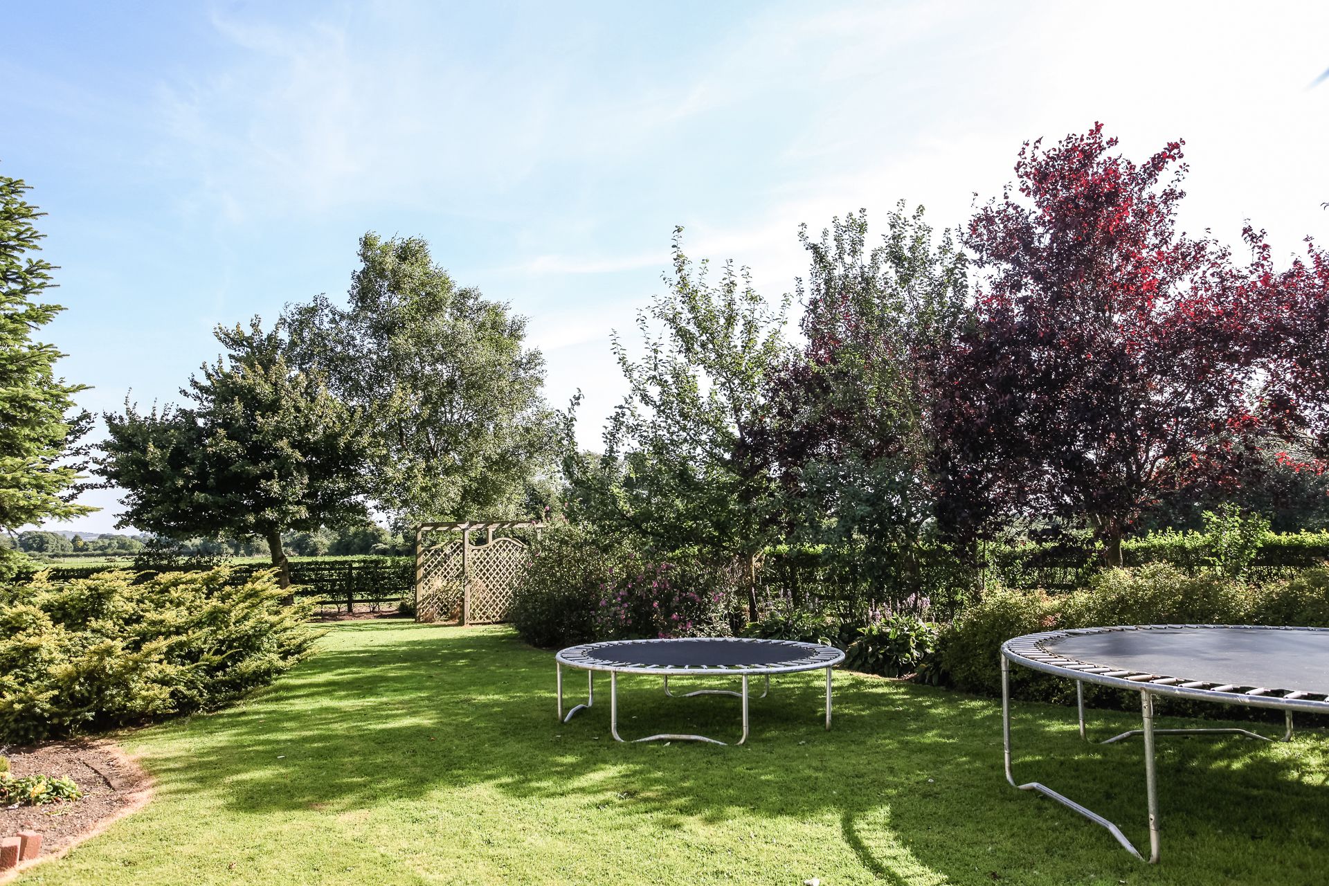 A well-maintained garden with two trampolines, a wooden fence, and a variety of trees and shrubs.