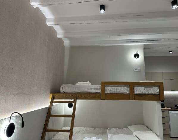 A bunk bed room with a ladder, a small kitchenette, and a ceiling light fixture.