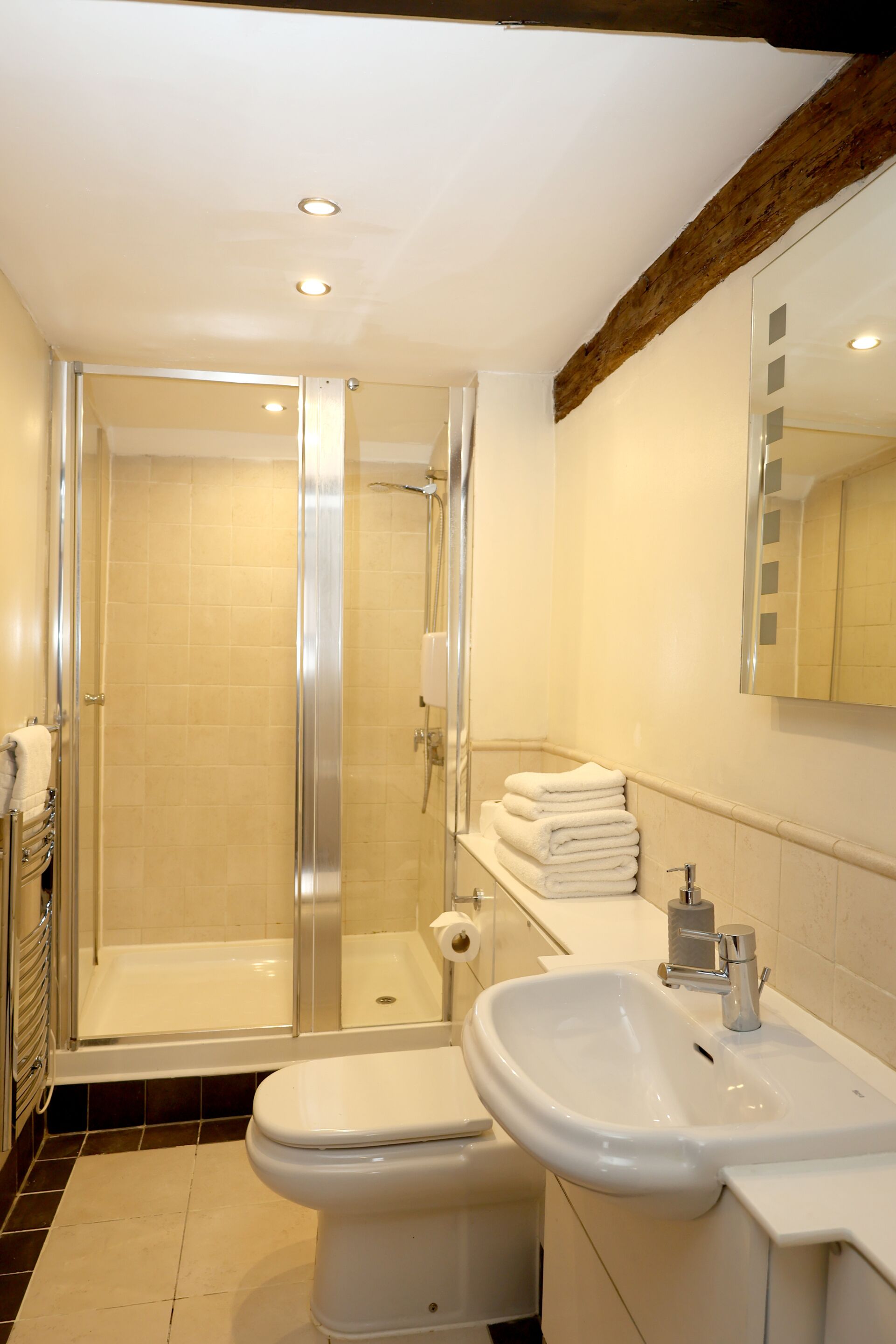 A bathroom with a glass-enclosed shower, a white toilet, and a sink with a mirror above it.