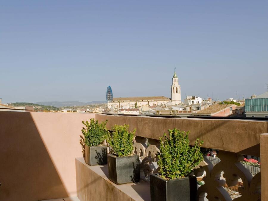 Una terraza en la azotea con plantas en macetas, cielo despejado y edificios a lo lejos, incluyendo una torre.