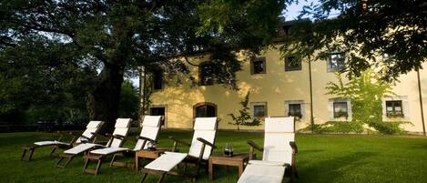 A row of wooden lounge chairs with white cushions on a grassy lawn, positioned in front of a building with multiple windows and a large tree providing shade.