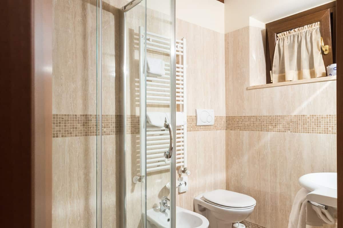 shower, free toiletries, hair dryer, bidet