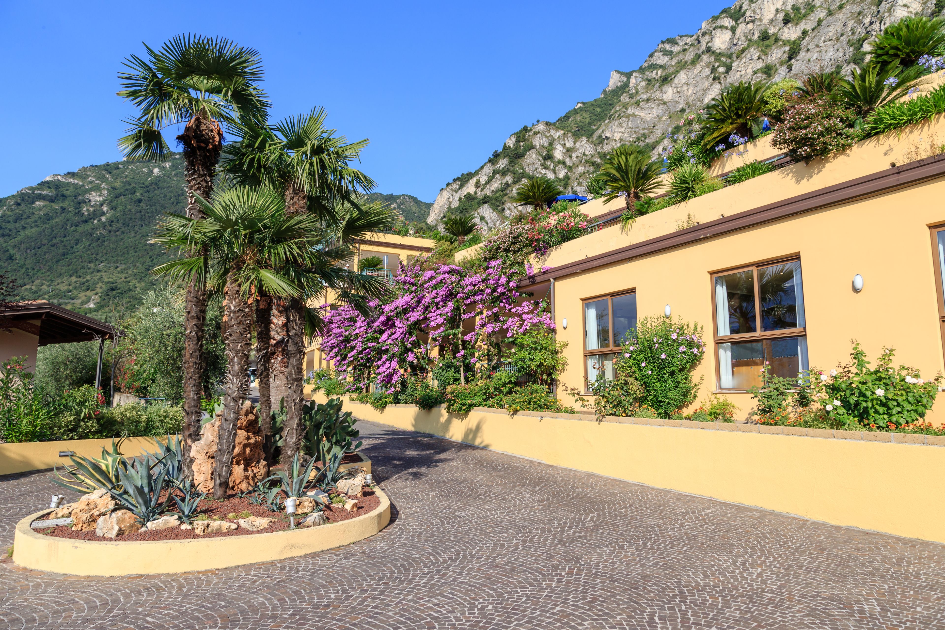 Foto - Hotel San Pietro