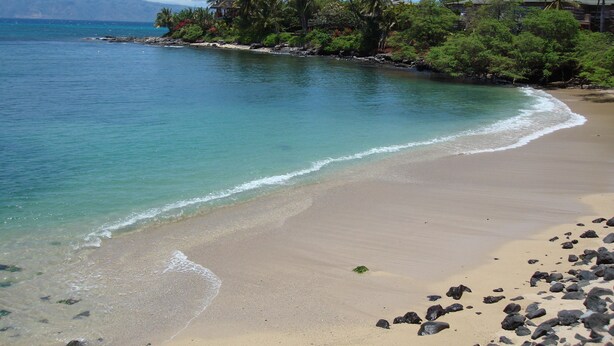 A beach with clear turquoise water, a sandy shore, and lush greenery including palm trees. - Maui Beach House (Lahaina)