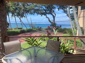 Ferienhaus, mit Bad, Meerblick | Terrasse/Patio