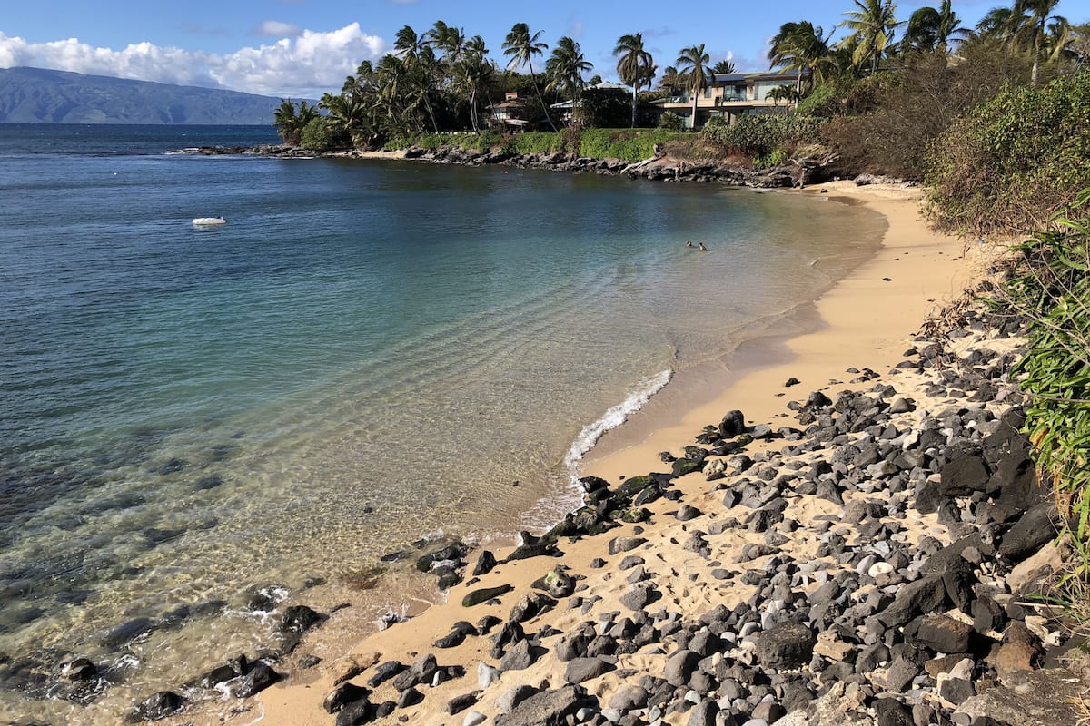 A beach with clear water, rocky shore, and palm trees.