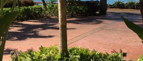 A paved pathway leading to a beach with a view of the ocean.