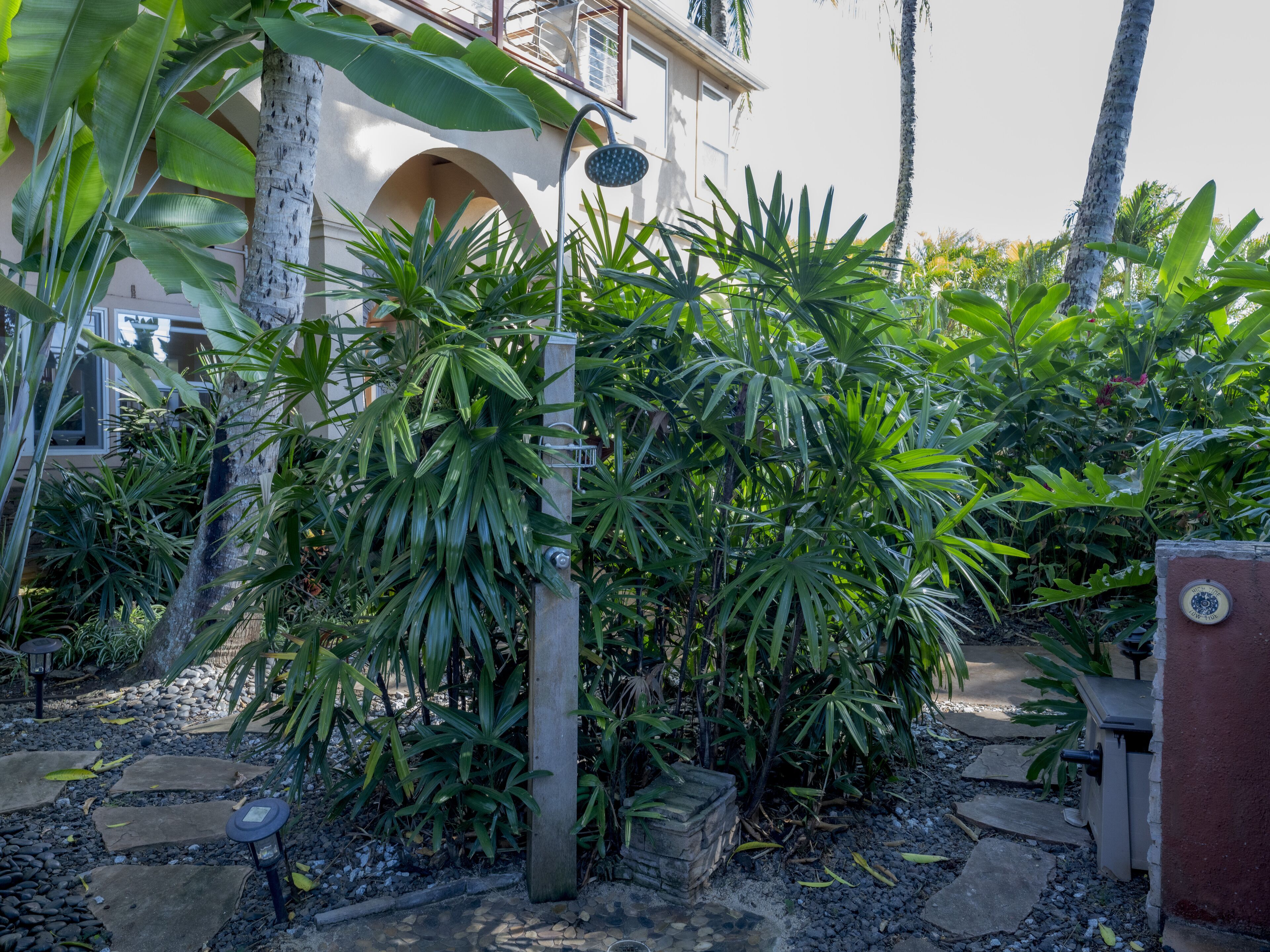 Un jardin tropical avec une grande variété de plantes, un poteau en bois et un sentier pavé de pierres.