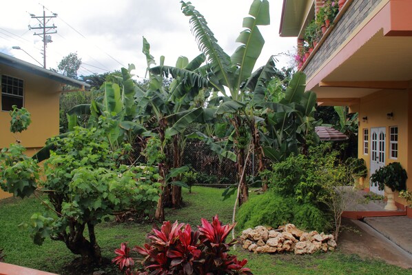 Fachada del alojamiento