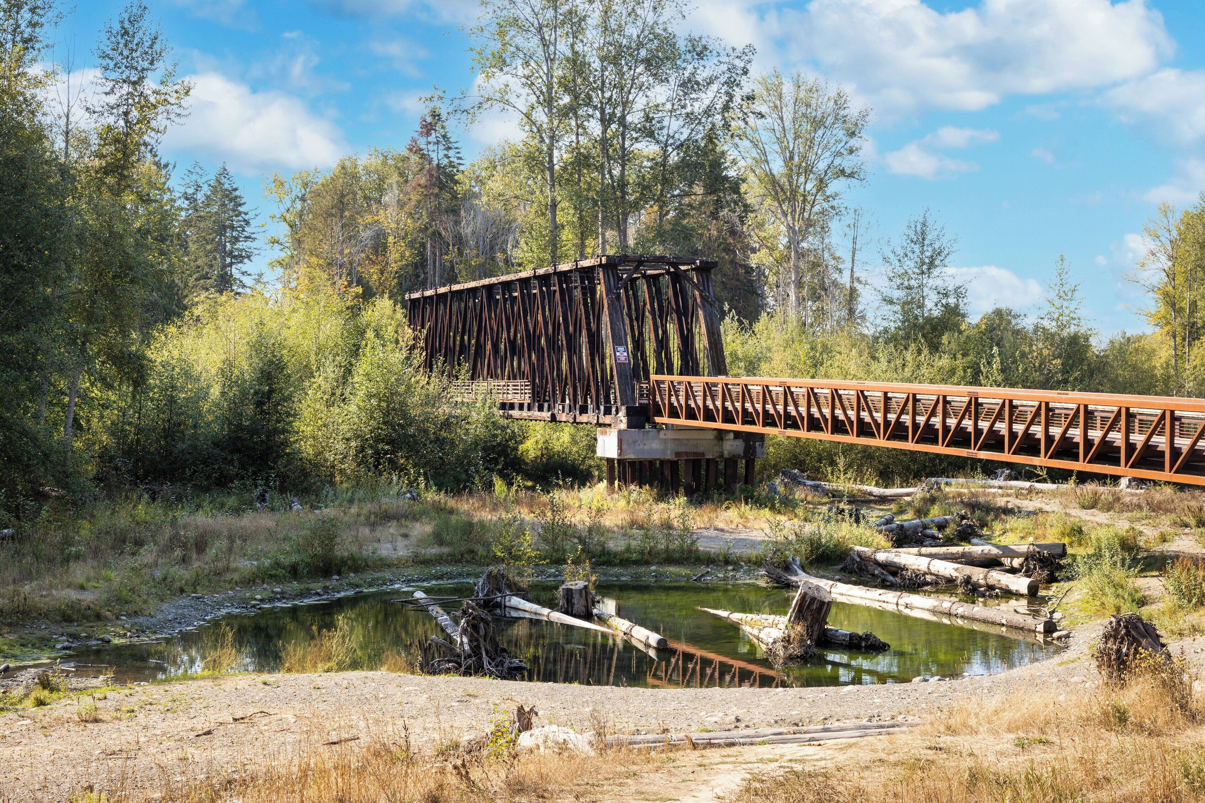 A rustic bridge over a small body of water, surrounded by dense forest and under a clear sky.