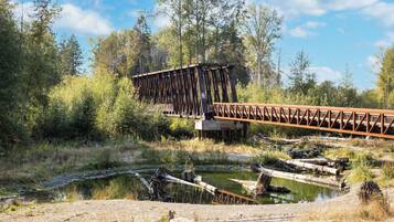 A rustic bridge over a small body of water, surrounded by dense forest and under a clear sky.