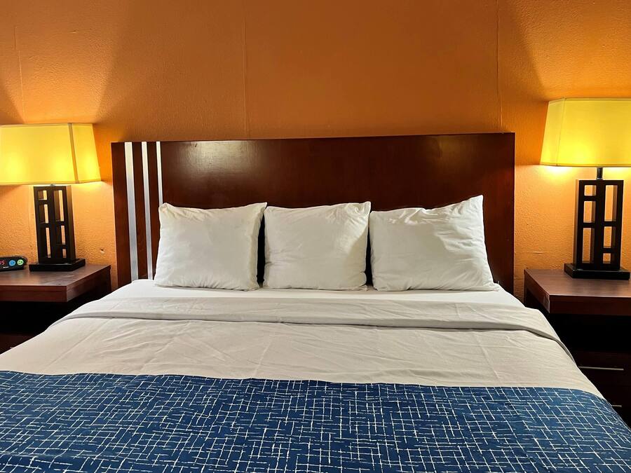 Standard Room, 1 King Bed | Desk, laptop workspace, blackout drapes, iron/ironing board