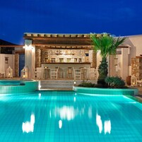 Zona de piscina con bar y asientos, rodeada de muros de piedra y una palmera.