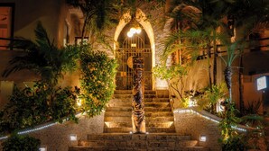 A stone staircase leading to an arched entrance with a metal gate, surrounded by lush greenery and illuminated by string lights.
