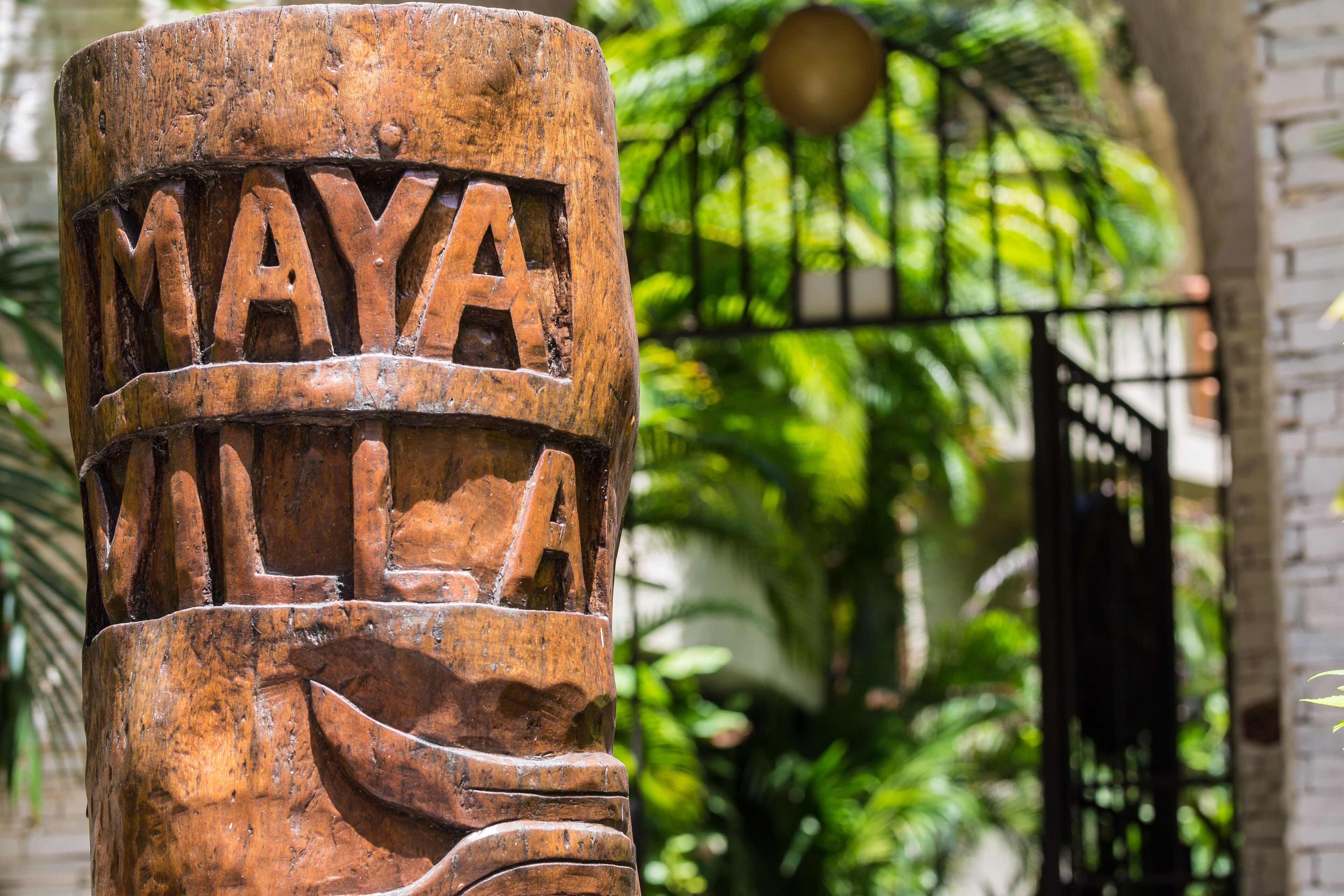 A wooden sculpture with the word "MAYA" carved into it.
