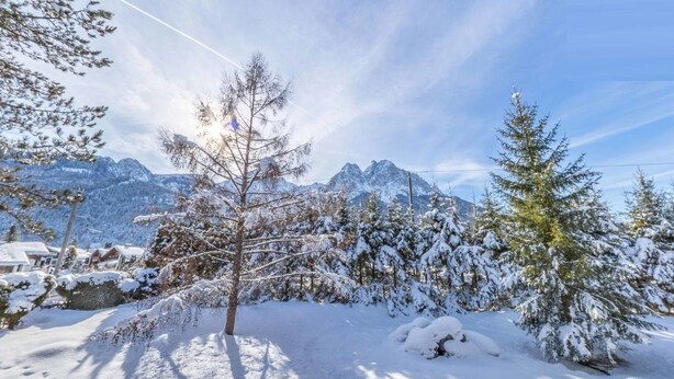 A snowy mountain landscape with trees and a clear sky.