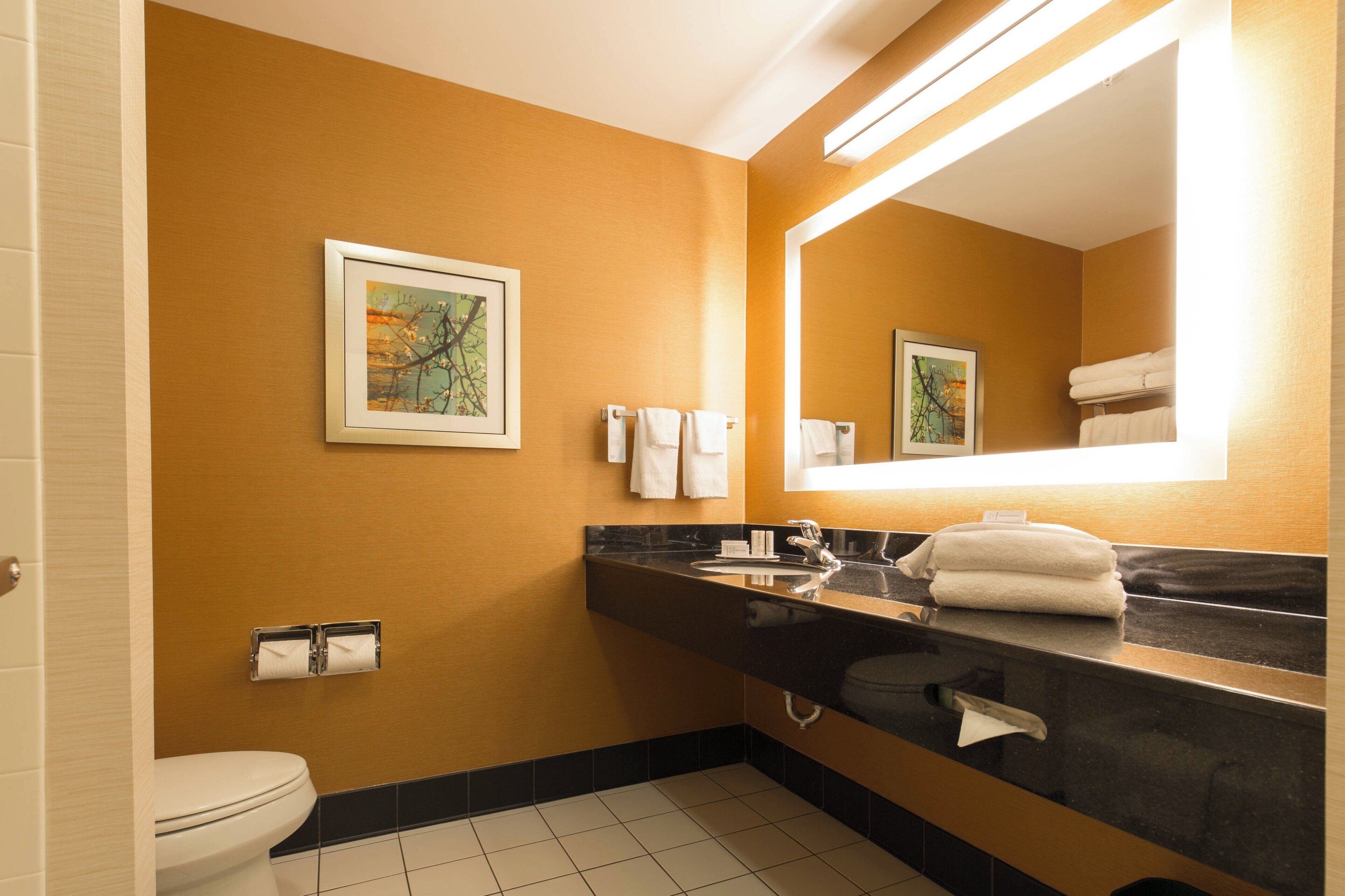 combined shower/bathtub, free toiletries, hair dryer, towels