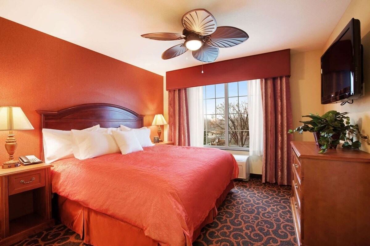 A hotel room with a large bed, a ceiling fan, a window with curtains, a TV, and a plant.